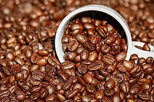 Флагман вход 159cdb